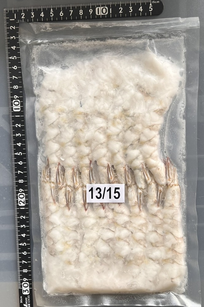 バナメイ　伸ばし海老（13/15）１５尾入