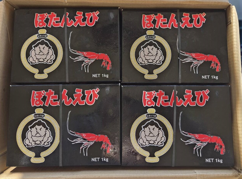 ボタン海老（Mサイズ）カナダ（１ｋｇ）生食用