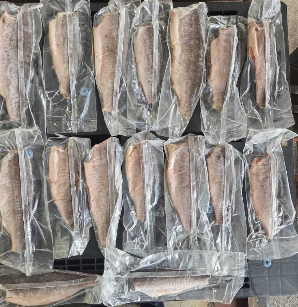 山中）塩紅鮭フィレ（８ｋ入）　1.5級品