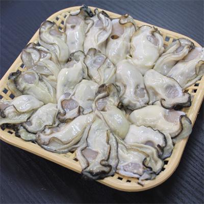 広島産生牡蠣（かき）　むき身2kg　(1ｋｇ袋ｘ2）　中粒