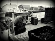 �X�܎ʐ^�E���S