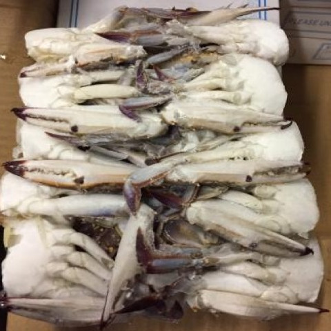 【送料無料】切渡り蟹（きりわたりがに）　Mサイズ　鍋用　椀物に