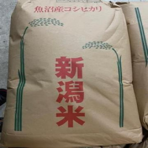 【送料無料】新米　令和7年産　精米　新潟　魚沼産こしひかり未検査216kg