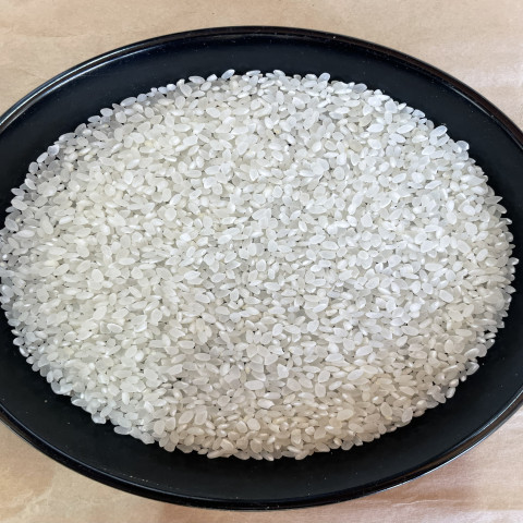 【送料無料】令和7年産　精米　長野県産　コシヒカリ　中米 　1.75～1.85mm