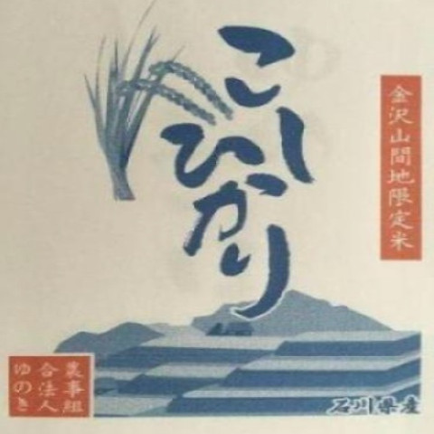 【送料無料】令和7年産　精米　石川県産　こしひかり　未検査米　100kg　
