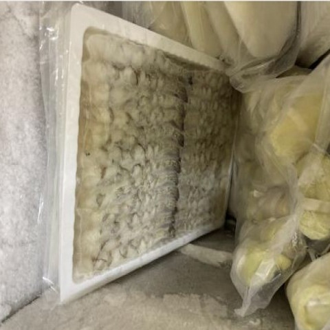 【送料無料】極上伸ばし海老16/20 　無保水 完全海水 養殖バナメイエビ  120kg