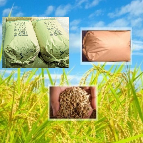 【送料無料】令和7年産　玄米　岩手県産　あきたこまち　未検査米　150kg