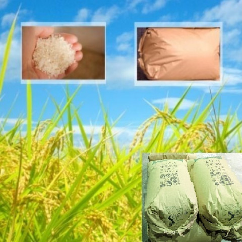 【送料無料】令和7年産　精米　岩手県産　あきたこまち    未検査米　150kg