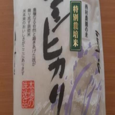 【送料無料】令和7年産 精米 福島県中通りコシヒカリ一等米