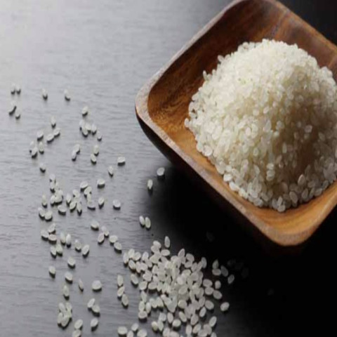 【送料無料】新米　令和7年産　精米　兵庫県産　ひのひかり　未検査米　135kg