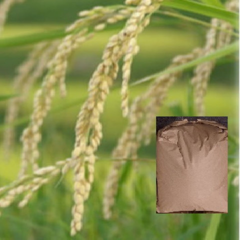 【送料無料】令和7年産　精米　兵庫県産　きぬむすめ　未検査米　135kg