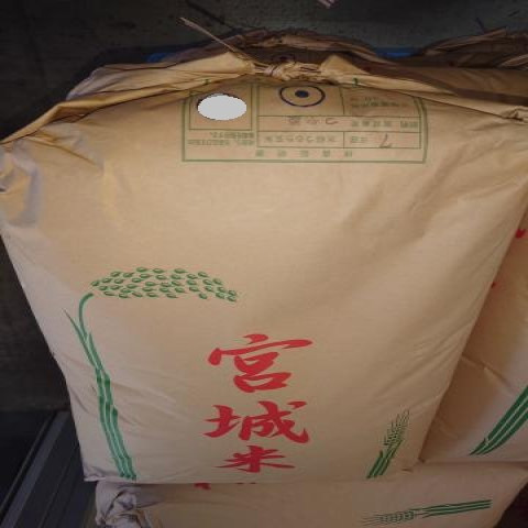 【送料無料】新米　令和7年産　玄米　宮城県産　つや姫　１等米