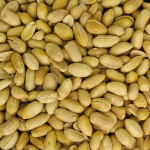 【送料無料】中国産バターピーナッツ 25kg 入り