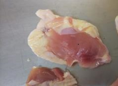 【送料無料】北海道産　地鶏　ふりそで
