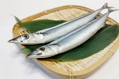 【送料無料】秋刀魚