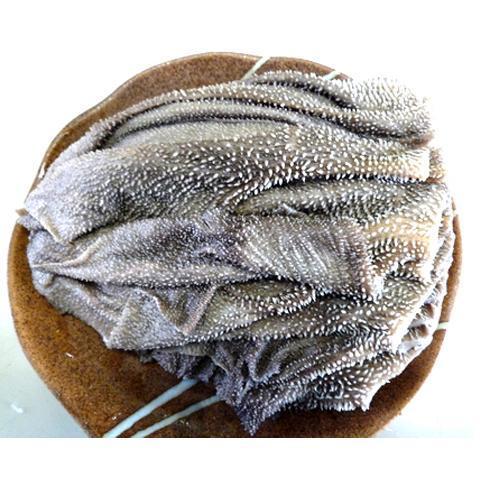 【送料無料】国産牛 センマイ