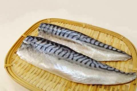 【送料無料】九州エリア産さばフィーレ