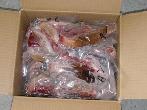 �y���������z�V�R���^��