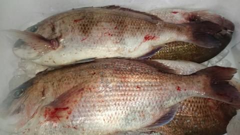 �y���������z�{�B�^��i��7�����j3�`5����