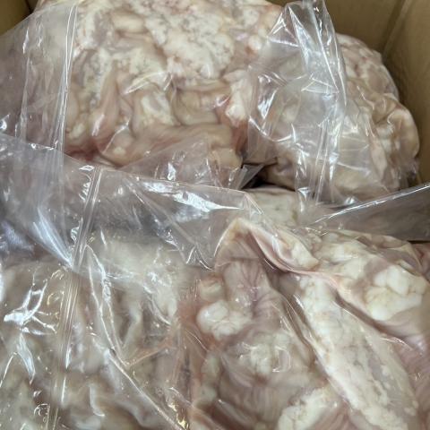 �y���������z��B�Y���јa���V�}�`���E�i�Ⓚ�j��15kg