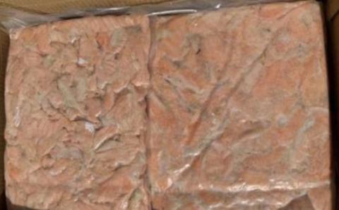 �y���������z�T�[�����n���X�Ă��؂藎�Ƃ��y���M�p�z