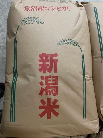 �y���������z�ߘa7�N�Y�@���ā@�V���@�����Y�����Ђ���@������