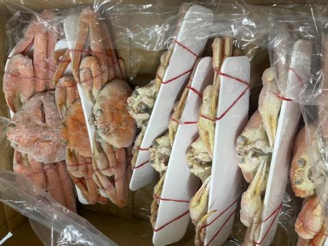 �y���������z���{�C���{�Y���C�K�j�p�󂠂�i�i���H�p�j