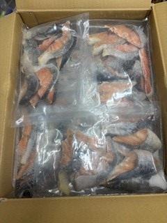 �y���������z���f�Ă��i������j