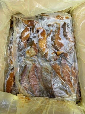 �y���������z���_�C���X��