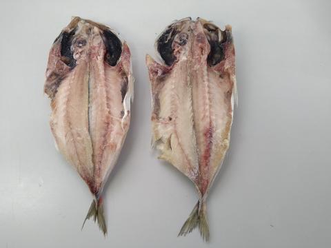 �y���������z���Y �^�����J���L�Y �T�C�Y���I��