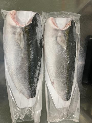 �y���������z�{�B�u���@�t�B���^��750-1500g�i���M�p�j