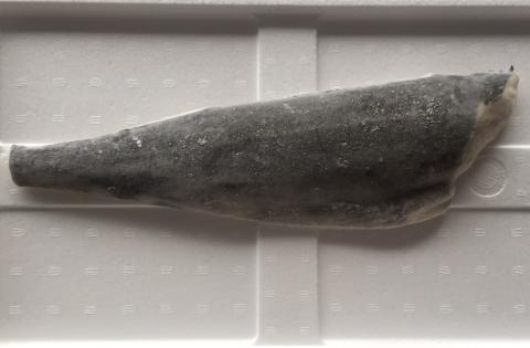 �y���������z����^���t�B���i�Z���^�[�J�b�g�j 5Kg�i10�`14���j