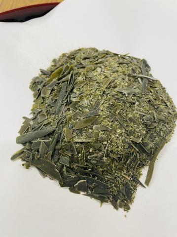 【送料無料】北海道産真昆布　だしパック用昆布　ハネ