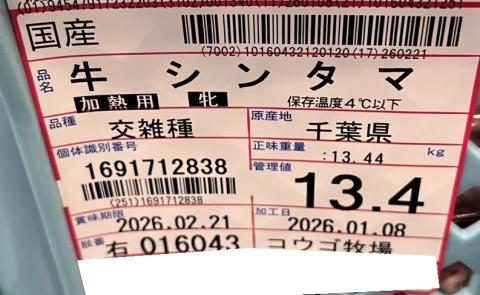 �y���������z�����Y���G�� �V���^�}�i�`���h�j�@��13.4����