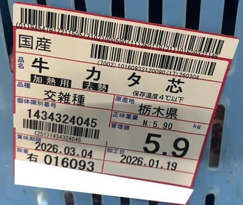 �y���������z���w�Ȗ،��Y�x���Y���G�� �����[�X�c�i�`���h�j ��5.9����