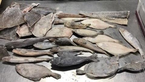 �y���������z�����Z�b�g 14kg