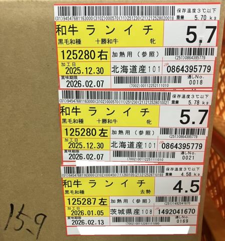 �y���������z�����YA�S���јa���C�`�{�i�`���h�j���i5.7+5.7+4.5�j15.9kg