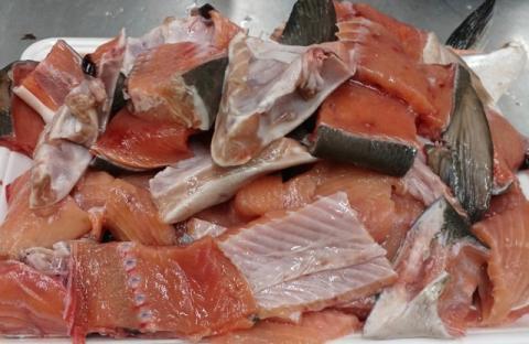 【送料無料】北海道産　秋鮭端材