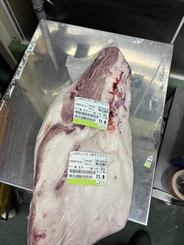 �y���������z�y�`���h�z�Q�n���Y�@��B���Ƃ����@A5�@���јa��i�����j�u���X�P�@11.9kg