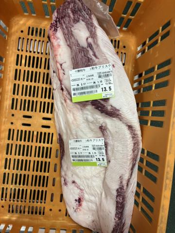 �y���������z�y�`���h�z�k�C���Y�@�\���a���@A5�@���јa��i�����j�u���X�P�@13.5kg