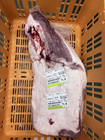 �y���������z�y�`���h�z���쌧�Y �M�B�v���~�A���� A5 ���јa��i�����j�u���X�P 11.6kg