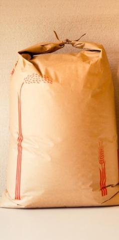 �y���������z�V�ėߘa7�N�Y ���� ���������ʂ� �R�V�q�J���ꓙ�ā@30kg