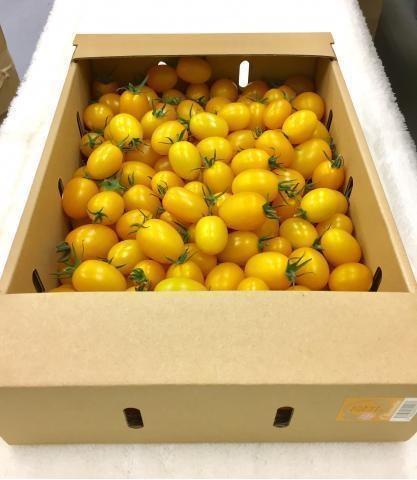 �y���������z�~�j�g�}�g�A�C�R�@�s�C�G���[�t