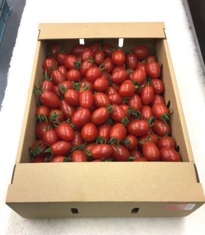 �y���������z�{�茧�Y�~�j�g�}�g�A�C�R�@�s�ԁt