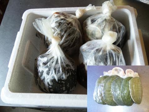 �y���������z�X�b�|���̍b�� �X�[�v�p