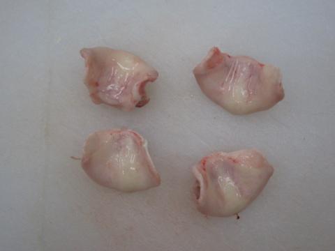 �y���������z�؃^���i���R�c�i�w���j�A�E���[���@�u���W���Y