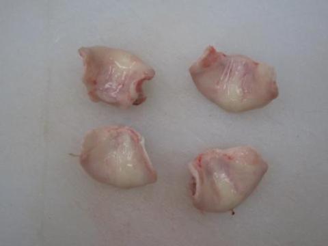 �y���������z�u���W���Y  �؃^���i���R�c�i�w���j�A�E���[�� �����ꊇ�� 