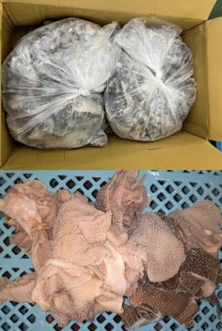 �y���������z���Y���Z���}�C�i�|���ρj�@�؂藎�Ƃ�