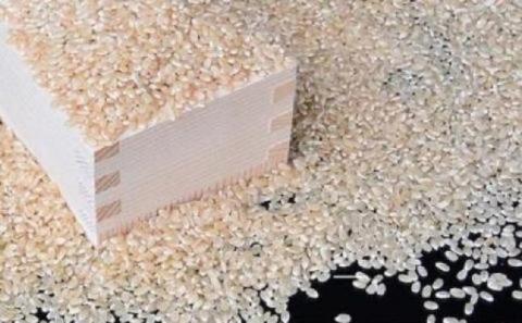 �y���������z�ߘa7�N�Y ���� �ΐ쌧���R�s�Y �R�V�q�J�� �����s����t