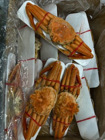 �y���������z���H�p�{�C���������킢���Ɏp 4kg 10����